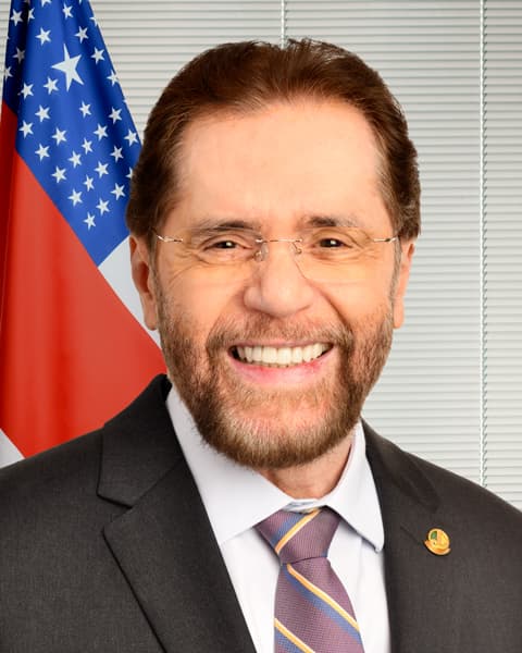 Retrato oficial de Plínio Valério