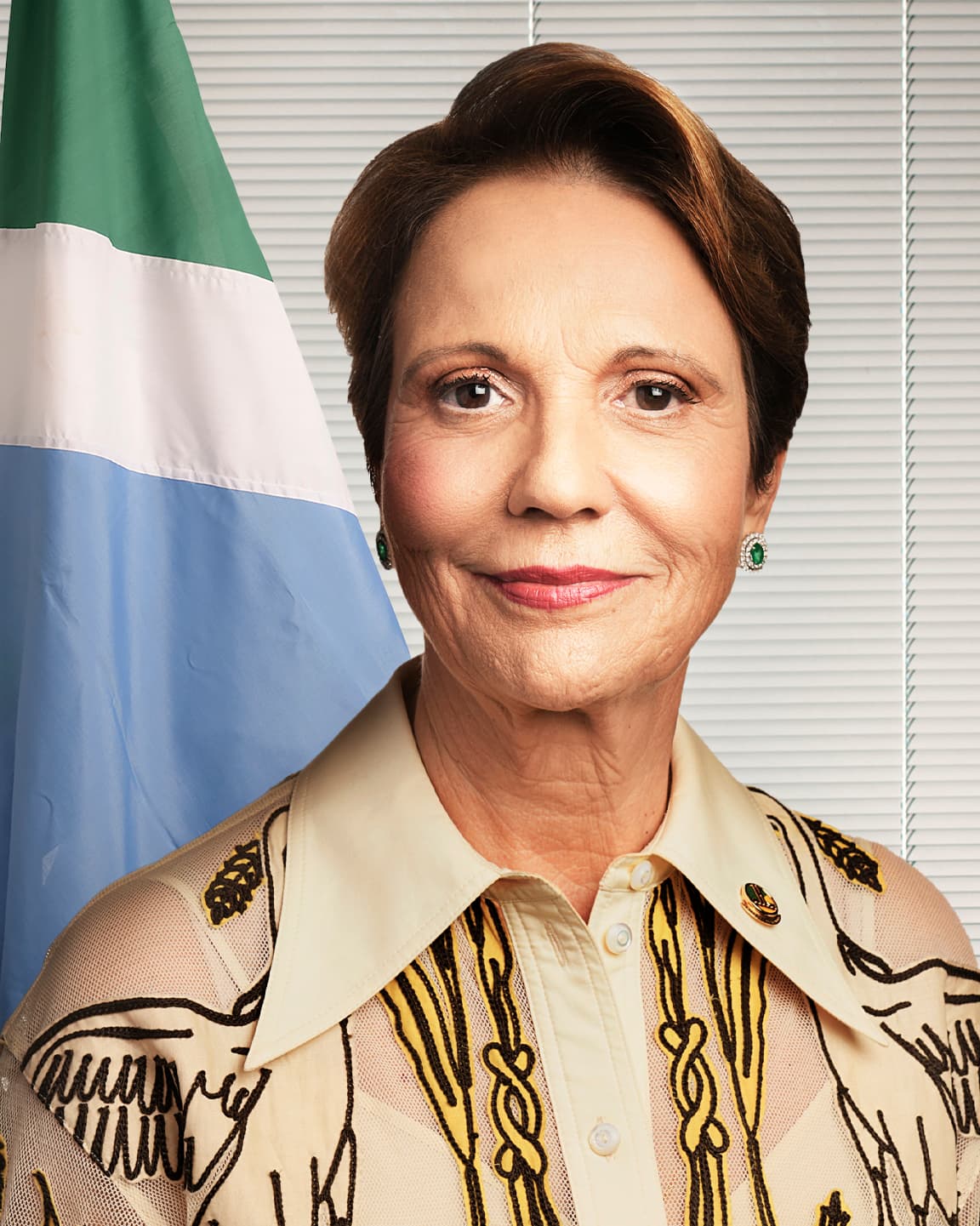 Retrato oficial de Tereza Cristina