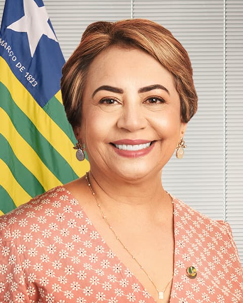 Retrato oficial de Jussara Lima