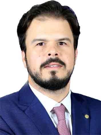 Retrato oficial de Fernando Coelho Filho