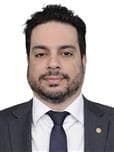 Retrato oficial de Vinicius Gurgel