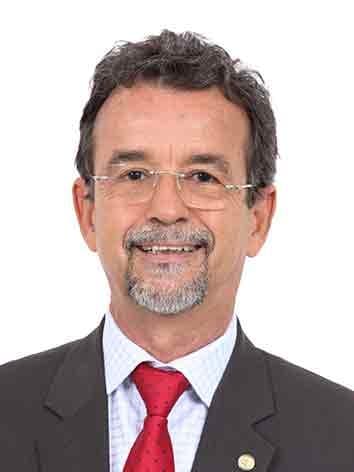 Retrato oficial de Fernando Mineiro