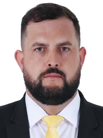 Retrato oficial de Zé Trovão
