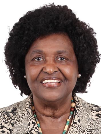 Retrato oficial de Benedita da Silva