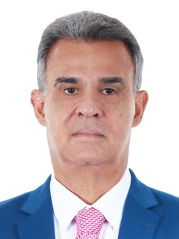 Retrato oficial de Sérgio Brito