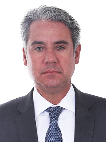 Retrato oficial de Fernando Monteiro